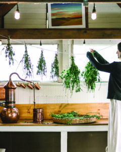 Hobby Space Workbench Image